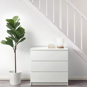 گیاه فیکوس لیراتا ایکیا مدل FEJKA